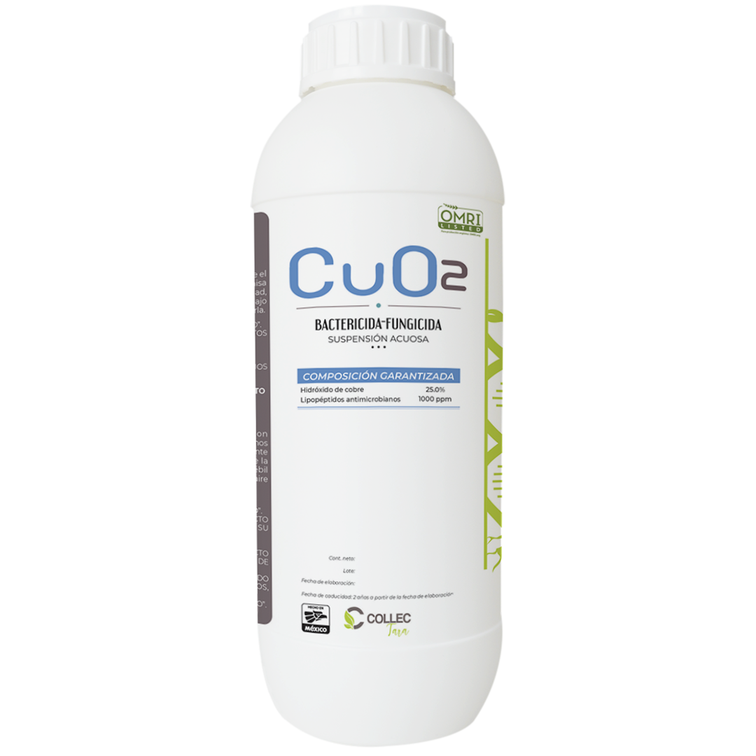 CuO2 – Collec Tara